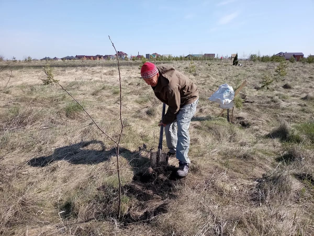 В поселке Клетня высадили деревья в рамках акции «Аллея памяти»