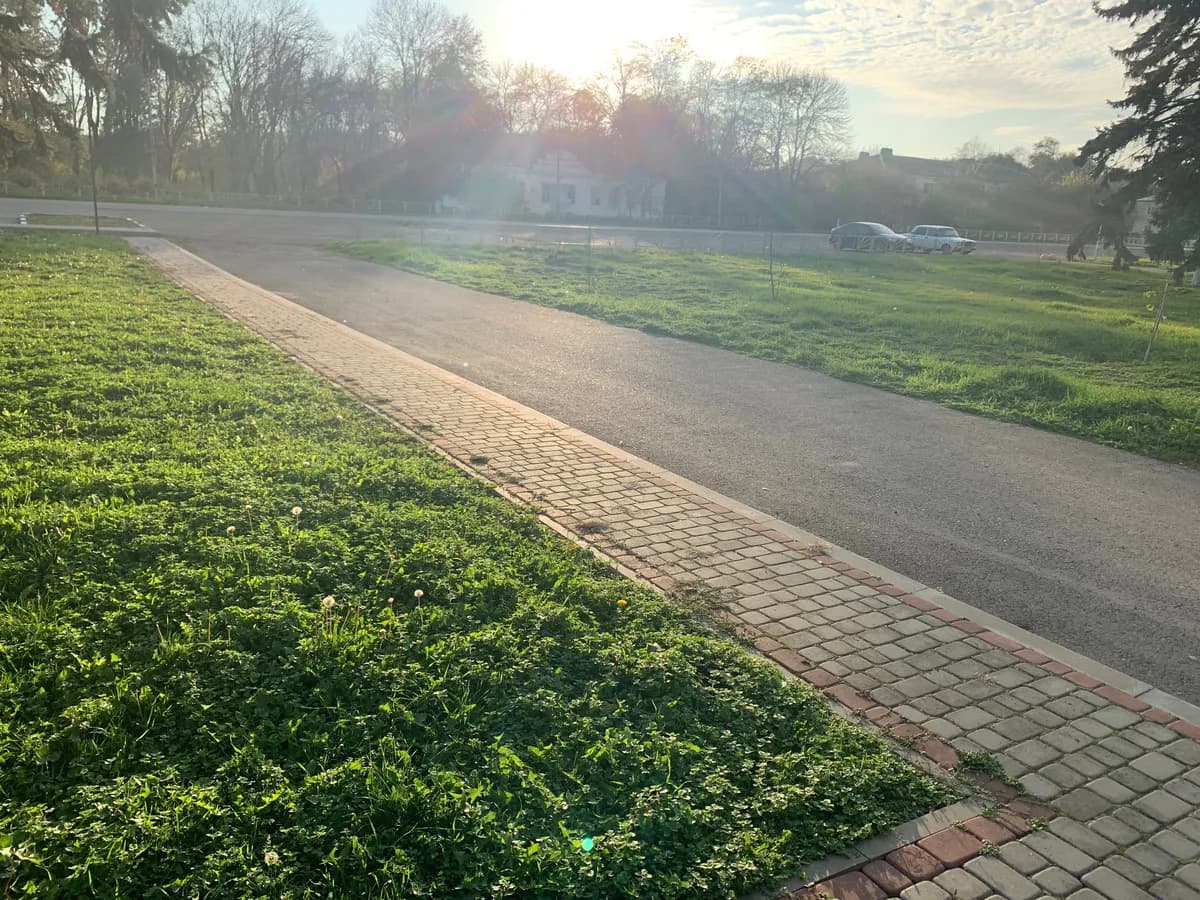 В поселке Локоть стартовало благоустройство парка