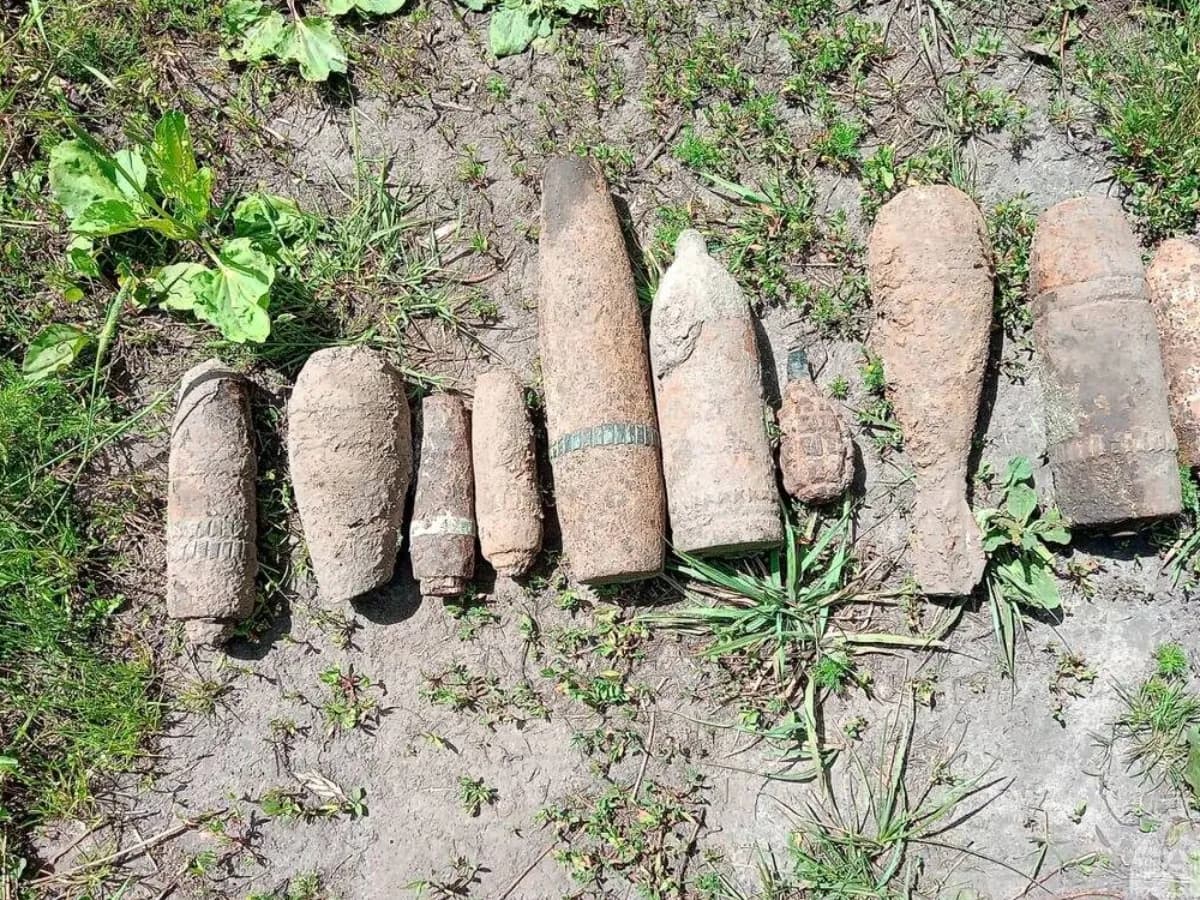 В Комаричском районе обезвредили 10 боеприпасов времён войны