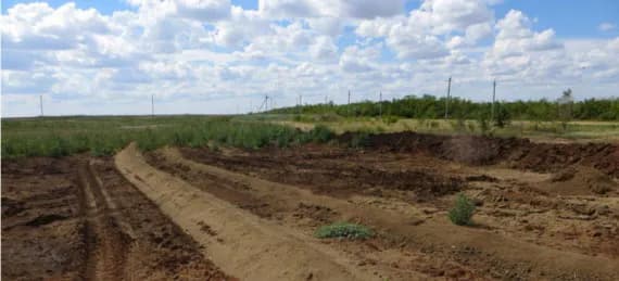 Московская фирма наказана за вывоз плодородной почвы из Брасовского и Комаричского районов