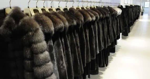 Брянский магазин рекламировал норковые шубы в рассрочку с подвохом