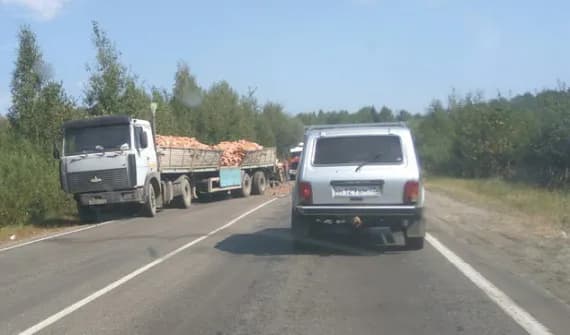 Под Брянском в ДТП с выпавшими на дорогу кирпичами пострадала автоледи