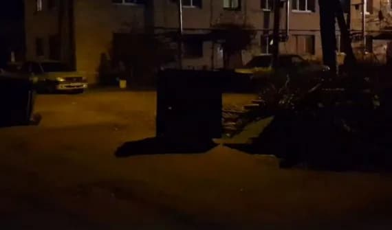 Вандалы разгромили новую остановку в Белых Берегах (видео)
