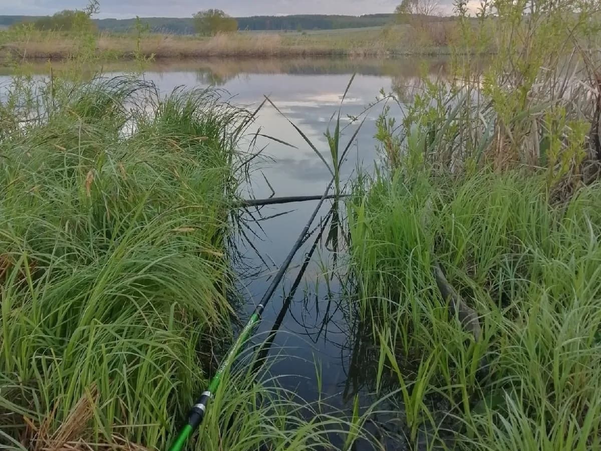 Рыбалка в Карачаевском районе закончилась уголовным делом для браконьера