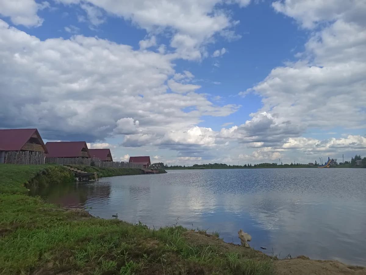 В Брянской области утонули двое подростков