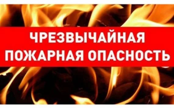 В Брянске объявлена чрезвычайная пожароопасность