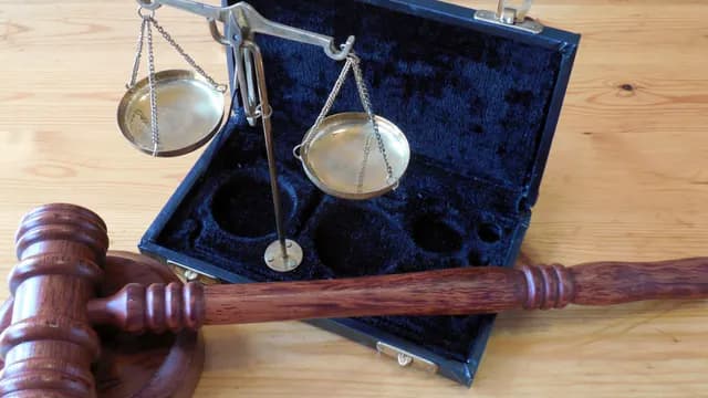 В Брянске суд взыскал компенсацию за незаконное использование авторских рисунков