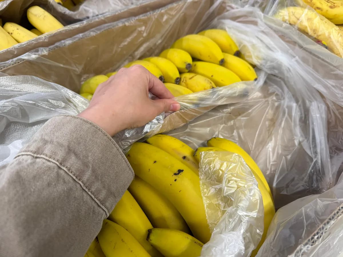 Зачем продавцы из "Пятёрочки" забирают из ящиков с бананами эти пакетики - секрет, который точно вам пригодится