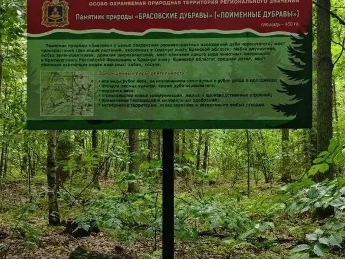 В Брасовском районе установили аншлаги у памятников природы