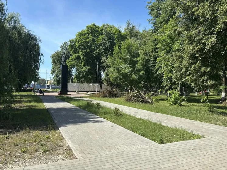 В Брянске спилят 34 ясеня, поражённых изумрудной златкой