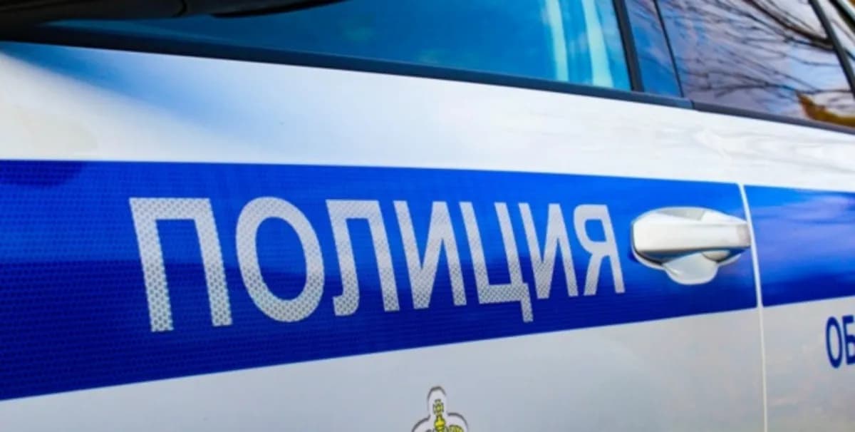 В Брянске женщина стала фигуранткой дела после находки чужого телефона