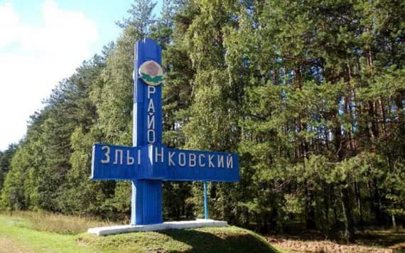 В Злынковском районе нашли депутатшу-уголовницу