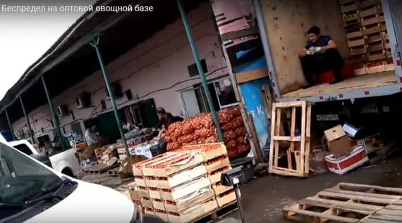 Кому выгодны мигранты-нелегалы на Брянщине?