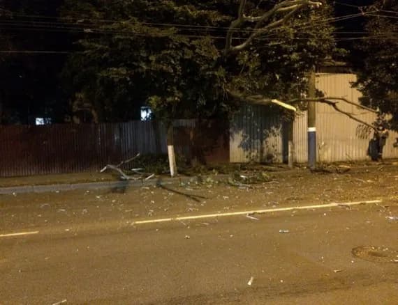 Возле площади Партизан в Брянске на дорогу упало дерево