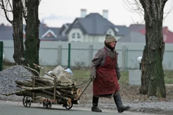 Брянские депутаты установили нормы сбора валежника
