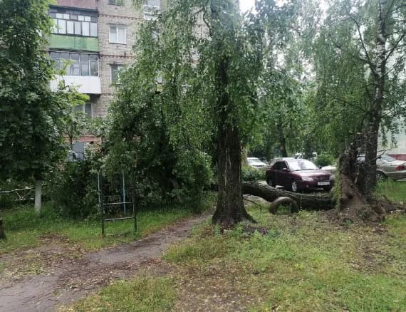 На Брянщину 20 июля пришёл мощный ливень с градом