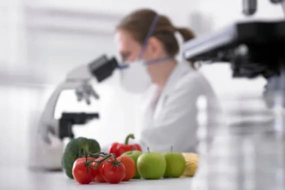 Ученые заявляют: сельхозпродукция из юго-западных районов Брянщины безопасна